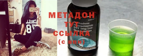 стаф Алзамай
