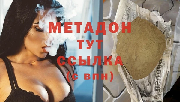 стаф Алзамай