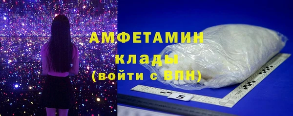 стаф Алзамай