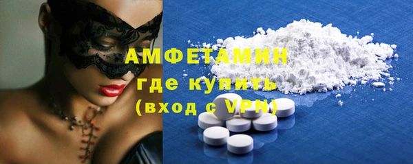 стаф Алзамай