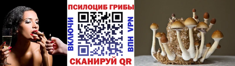 MEGA ONION наркота Чебоксары Псилоцибиновые грибы ЛСД