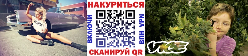 Канабис VHQ  где найти   Чебоксары 